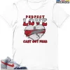 T-Shirt - Nike Dunk High Washed Denim Pack - Sneaker-Matching T-Shirt (Perfect Love Cast Out Fear)