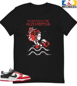T-Shirt - Nike Dunk Low EMB NBA 75th Anniversary Chicago - Sneaker-Matching T-Shirt (Aquarius Aggressively Me)