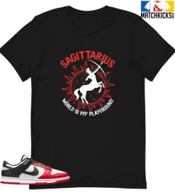 T-Shirt - Nike Dunk Low EMB NBA 75th Anniversary Chicago - Sneaker-Matching T-Shirt (Sagittarius The World)