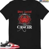 T-Shirt - Nike Dunk Low EMB NBA 75th Anniversary Chicago - Sneaker-Matching T-Shirt (Cancer Stay Loyal)
