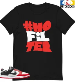 T-Shirt - Nike Dunk Low EMB NBA 75th Anniversary Chicago - Sneaker-Matching T-Shirt (#NoFilter)