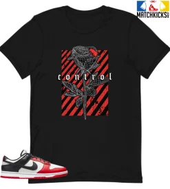 T-Shirt - Nike Dunk Low EMB NBA 75th Anniversary Chicago - Sneaker-Matching T-Shirt (Control)
