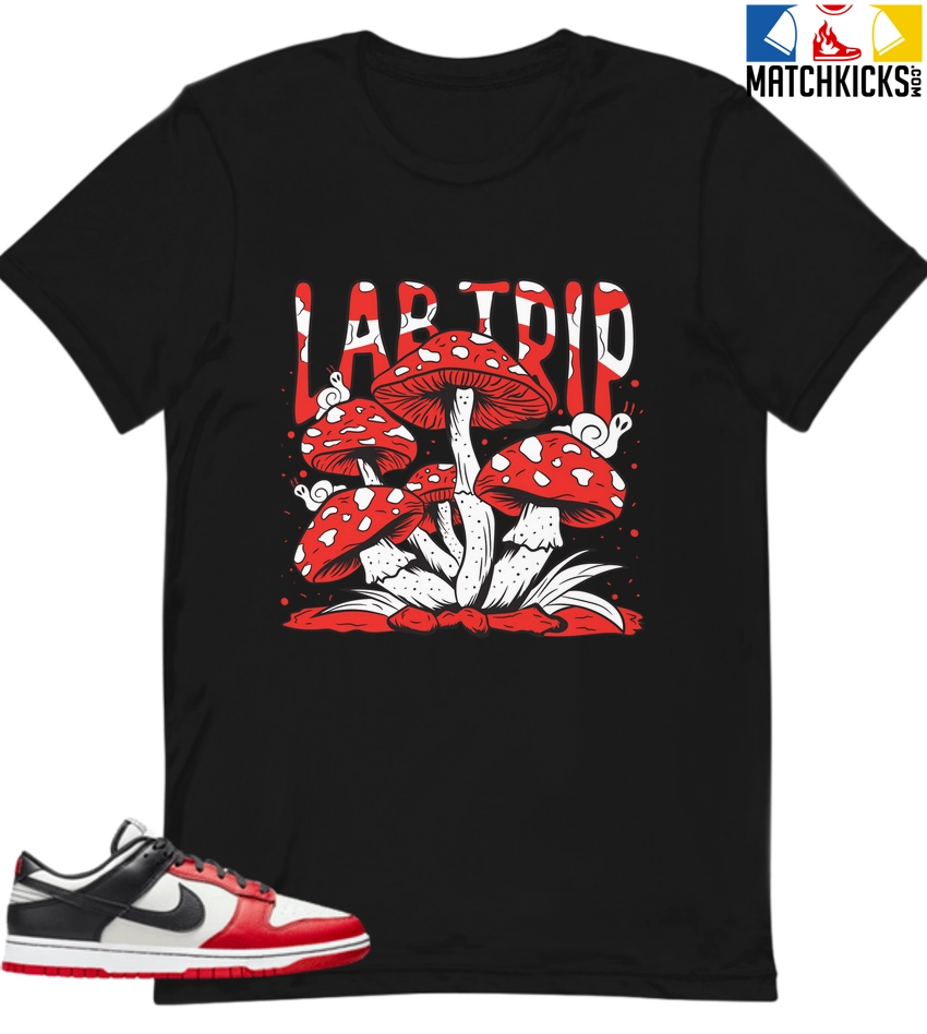 T-Shirt - Nike Dunk Low EMB NBA 75th Anniversary Chicago - Sneaker-Matching T-Shirt (Lab Trip) 3 T-Shirt - Nike Dunk Low EMB NBA 75th Anniversary Chicago - Sneaker-Matching T-Shirt (Lab Trip)