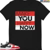 T-Shirt - Nike Dunk Low EMB NBA 75th Anniversary Chicago - Sneaker-Matching T-Shirt (Make You Happy Now) 1 T-Shirt - Nike Dunk Low EMB NBA 75th Anniversary Chicago - Sneaker-Matching T-Shirt (Make You Happy Now) -Nike Dunk shop online mockupGenerator 2891