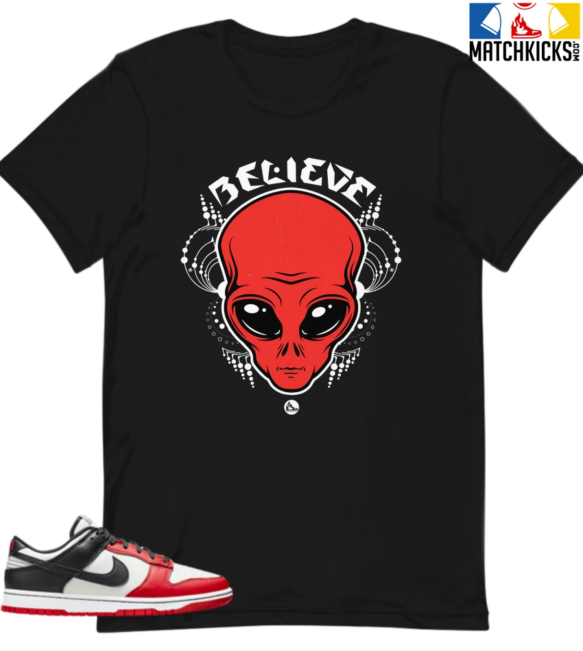 T-Shirt - Nike Dunk Low EMB NBA 75th Anniversary Chicago - Sneaker-Matching T-Shirt (Believe) 3 T-Shirt - Nike Dunk Low EMB NBA 75th Anniversary Chicago - Sneaker-Matching T-Shirt (Believe)