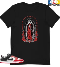 T-Shirt - Nike Dunk Low EMB NBA 75th Anniversary Chicago - Sneaker-Matching T-Shirt (Light In The Land Of The Lost)