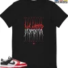 T-Shirt - Nike Dunk Low EMB NBA 75th Anniversary Chicago - Sneaker-Matching T-Shirt (Disaster)