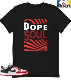 T-Shirt - Nike Dunk Low EMB NBA 75th Anniversary Chicago - Sneaker-Matching T-Shirt (DOPE SOUL)