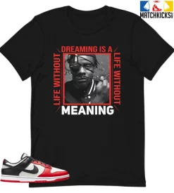 T-Shirt - Nike Dunk Low EMB NBA 75th Anniversary Chicago - Sneaker-Matching T-Shirt (Wale Life Without Dreaming)