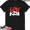 T-Shirt - Nike Dunk Low EMB NBA 75th Anniversary Chicago - Sneaker-Matching T-Shirt (LOW KEY)