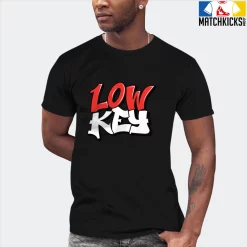 T-Shirt - Nike Dunk Low EMB NBA 75th Anniversary Chicago - Sneaker-Matching T-Shirt (LOW KEY) -Nike Dunk shop online mockupGenerator 3488