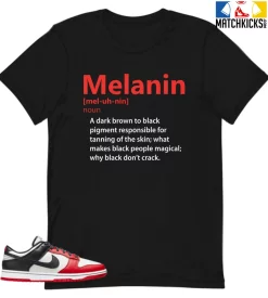 T-Shirt - Nike Dunk Low EMB NBA 75th Anniversary Chicago - Sneaker-Matching T-Shirt (Melanin Noun)