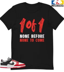 T-Shirt - Nike Dunk Low EMB NBA 75th Anniversary Chicago - Sneaker-Matching T-Shirt (1 Of 1)