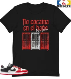 T-Shirt - Nike Dunk Low EMB NBA 75th Anniversary Chicago - Sneaker-Matching T-Shirt (No Cocaina)