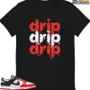 T-Shirt - Nike Dunk Low EMB NBA 75th Anniversary Chicago - Sneaker-Matching T-Shirt (DRIP DRIP DRIP)