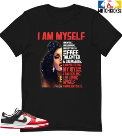 T-Shirt - Nike Dunk Low EMB NBA 75th Anniversary Chicago - Sneaker-Matching T-Shirt (I AM MYSELF)