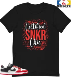 T-Shirt - Nike Dunk Low EMB NBA 75th Anniversary Chicago - Sneaker-Matching T-Shirt (Certified Snkr Chic)