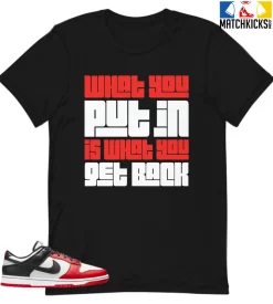 T-Shirt - Nike Dunk Low EMB NBA 75th Anniversary Chicago - Sneaker-Matching T-Shirt (What You Get)
