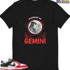 T-Shirt - Nike Dunk Low EMB NBA 75th Anniversary Chicago - Sneaker-Matching T-Shirt (Gemini Passionately Me)