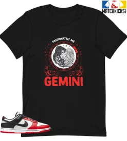T-Shirt - Nike Dunk Low EMB NBA 75th Anniversary Chicago - Sneaker-Matching T-Shirt (Gemini Passionately Me)