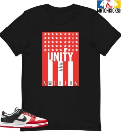 T-Shirt - Nike Dunk Low EMB NBA 75th Anniversary Chicago - Sneaker-Matching T-Shirt (UNIFY AMERICA)