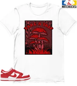 T-Shirt - Nike Dunk Low University Red (2020) - Sneaker-Matching T-Shirt (Take A Trip)