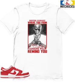 T-Shirt - Nike Dunk Low University Red (2020) - Sneaker-Matching T-Shirt (Never Forget Where You From)