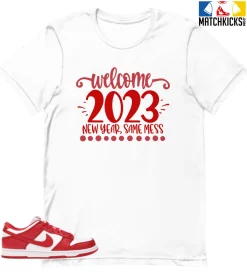 T-Shirt - Nike Dunk Low University Red (2020) - Sneaker-Matching T-Shirt (2023 New Year)
